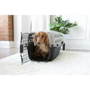 Pet Kennel Small 23