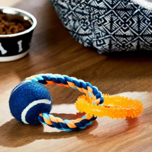 Rope Ring Interactive Dog Chew Toy | Small